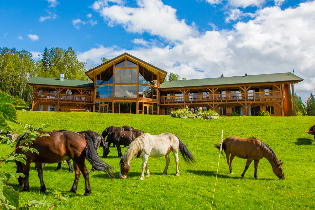 A group of horses gather in front of a lodge